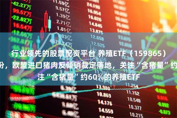 行业领先的股票配资平台 养殖ETF(159865)净流入2600万份,欧盟进口猪肉反倾销裁定落地,关注“含猪量”约60%的养殖ETF
