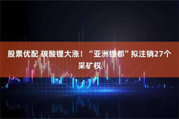 股票优配 碳酸锂大涨！“亚洲锂都”拟注销27个采矿权