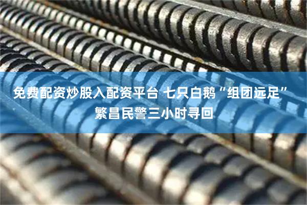 免费配资炒股入配资平台 七只白鹅“组团远足” 繁昌民警三小时寻回