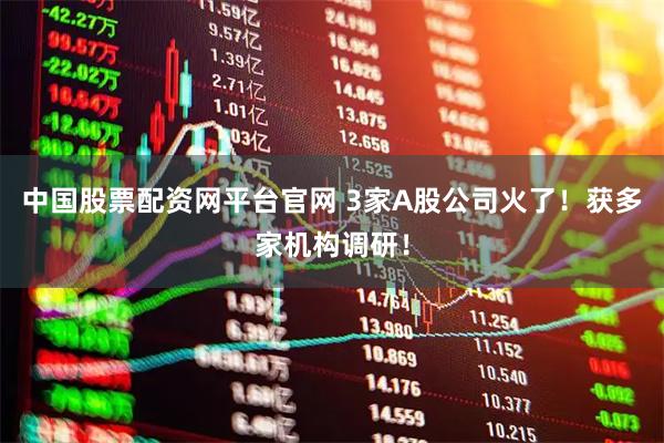 中国股票配资网平台官网 3家A股公司火了！获多家机构调研！